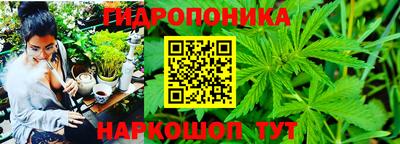 твердый Краснодар